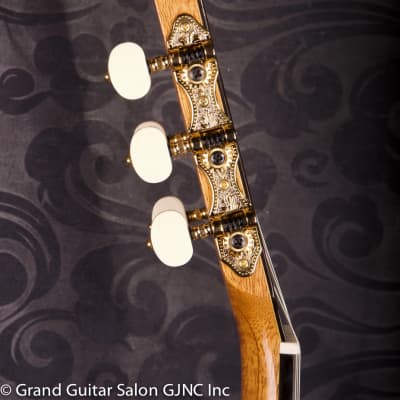 Daniel Stark "Espagnola II" classical guitar  Cedar/Wenge B & Sides image 15
