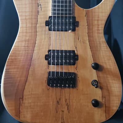 Replica guitar w/DiMarzio Titans image 9