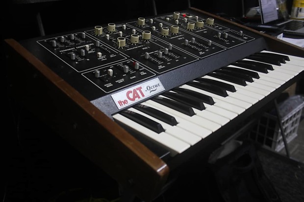 The Cat by Octave Vintage 37 Key Analog Duophonic Synthesizer image 1