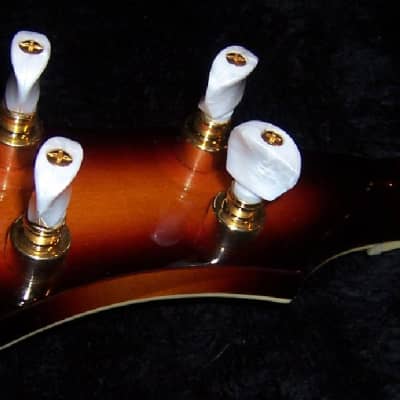 Gold Tone EBM-5 Electric Solid Body Maple Neck Mahogany Top 5-String Banjo - Tobacco Sunburst image 9