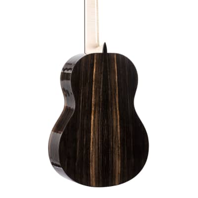 Luthier Concert Classical Contemporary Guitar Turkowiak Offset Soundhole Alpine Spruce Ebony Mammoth image 6