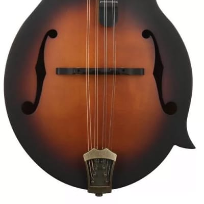 Washburn Vintage F-Style Mandolin w/ Hardshell Case for sale