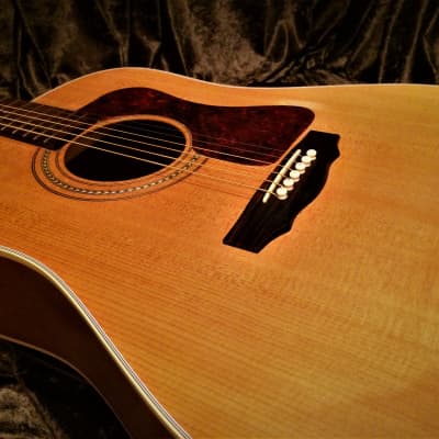 Guild DV6 1997 Westerly Rhode Island Dreadnought Acoustic Mahogany Back and Sides like a D40 D18 image 9