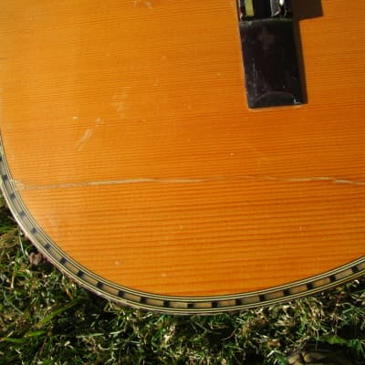 Giannini AWN 300 Classical Guitar, 1970's, Brazil, Rosewood, Very Ornate, Case image 7