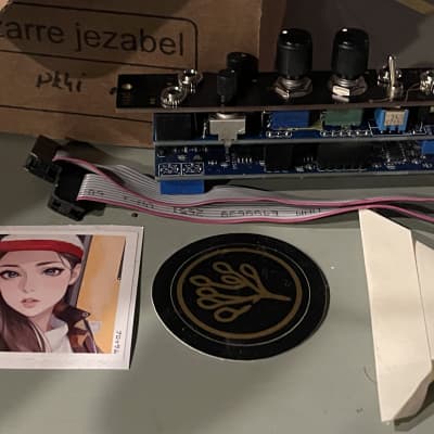 Bizarre Jezabel Pkhi mk3 2024 - Black image 3