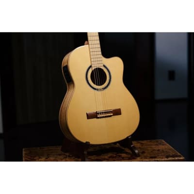 Ortega Signature Series Thomas Zwijsen Acoustic-Electric Nylon Classical Guitar w/ Bag image 11