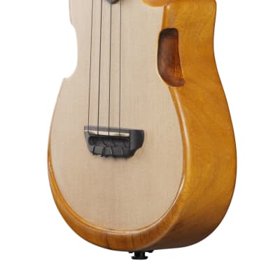 Ibanez AUC10E-OPN Concert Ukulele Open Pore Natural incl. Gigbag - NEW image 4
