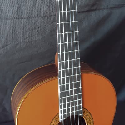 1972 Yamaha GC-10D Rosewood and Spruce Classical Guitar image 9