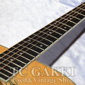 Morris MD 528 | Reverb