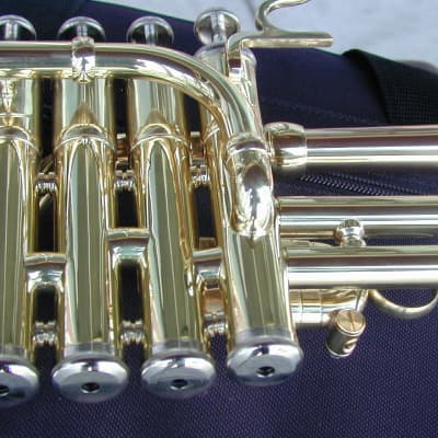 Berkeleywind Bb/A/G Piccolo Trumpet (GoldBrass Stomvi Style) image 10