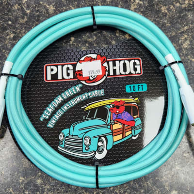 Pig Hog PCH10SG Vintage Series 1/4" TS Instrument Cable - 10' 2010s - Seafoam Green image 1