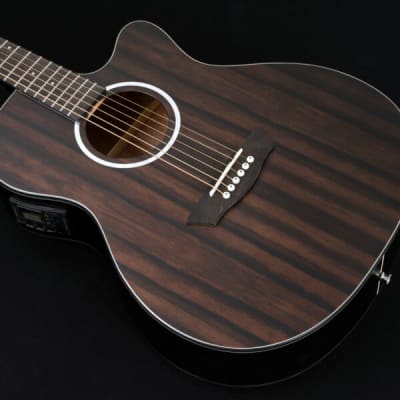 Washburn DFEACE | Deep Forest Auditorium Acoustic / Electric  Guitar. New with Full Warranty! image 7