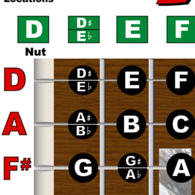 A New Song Music Lap Steel D Tuning Chord Poster Chart Easy | Reverb