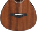 Ibanez AVN9-OPN Artwood Vintage Thermo Aged Acoustic Guitar - Open Pore