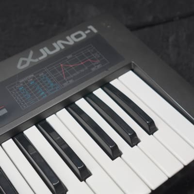 Roland Alpha Juno-1 49-Key Programmable Polyphonic Synthesizer | Reverb