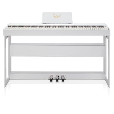 Daewoo store digital piano