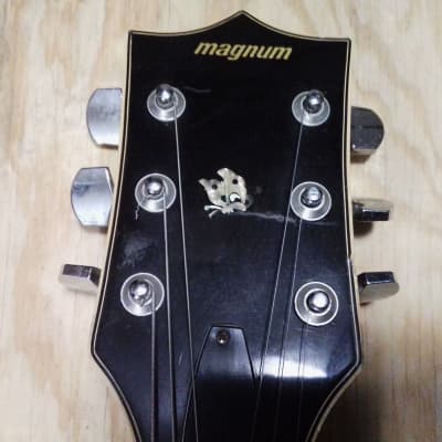 Magnum Gibson Clone 70s? Sunburst image 2