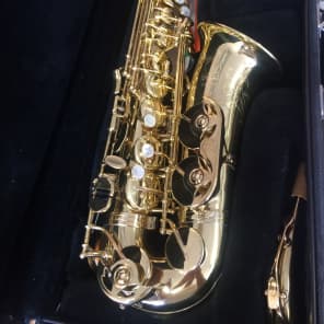 Selmer Omega MG288 Alto Saxophone image 2