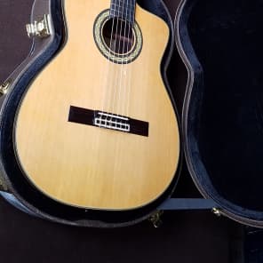 Takamine TH5C Acoustic Guitar (TH5C) image 1