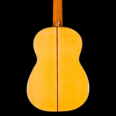 Graciliano Perez flamenco guitar “mixed earth” 2024 image 3