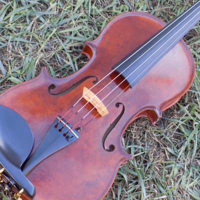 Professional Violin, Antique Dark Brown Varnish, Handmade in Kansas USA by Colton Mulder, Crow Creek Fiddles 2023 image 3
