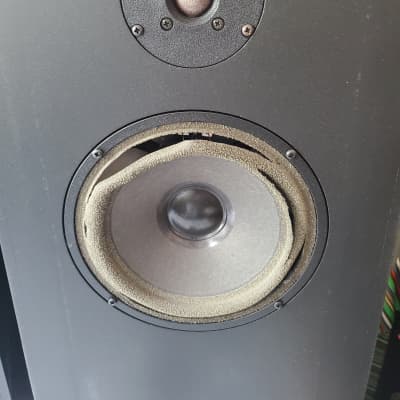 Pair of Audio Note AN- J/L 1270 Speakers with AN-D 8' cables need re-foam UK Made image 5