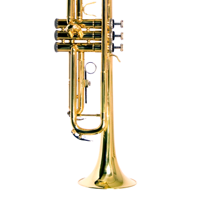 B - U.S.A. WTR-PK-BK Pocket Trumpet w/Deluxe Case, Gloves, Valve Oil,  Mouthpiece & Polishing Cloth