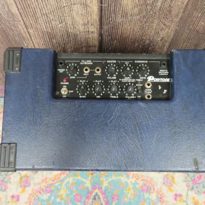 Polytone Mini Brute III Guitar Combo Amplifier (Cleveland, OH) image 3