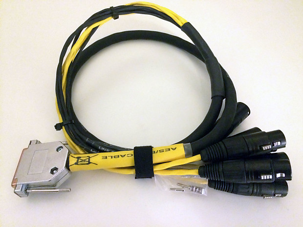 Avid/Digidesign: 4' DB25 to XLR (4 x Male u0026 4 x Female) AES/EBU DigiSnake  Snake Cable