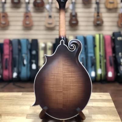 Preowned Michael Kelly Legacy Dragonfly Mandolin w/Case image 3