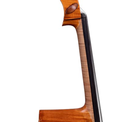 Paul Weis Master Cello 4/4 Hand-Made in Romania 2021 image 5