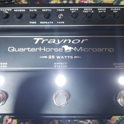 Traynor DH25H QuarterHorse Microamp 25-Watt Stompbox Guitar Amplifier |  Reverb Canada