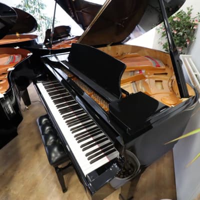 Venables & Son Studio-152 Grand Piano image 7