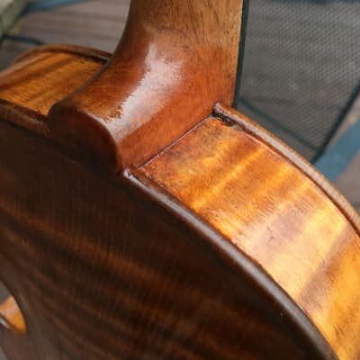 Violin Unknown Oil Varnish image 9