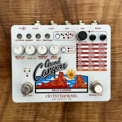 Electro-Harmonix Grand Canyon Delay and Looper | Reverb