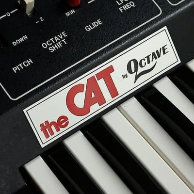1970s Octave Electronics : The Cat Synthesizer (Serviced) image 3