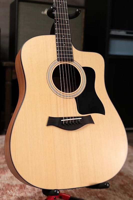 Taylor 110ce Dreadnought Acoustic/Electric Guitar with Gig