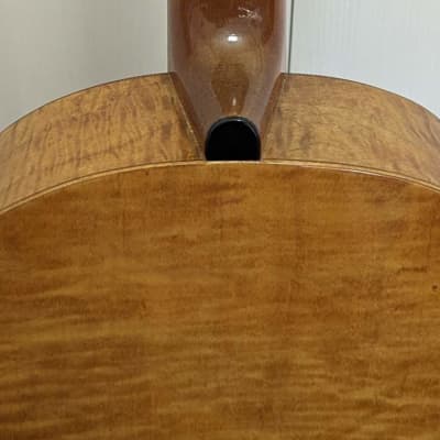 Höfner mod. 485 Vienna early 1960s nylon strings classical guitar image 16