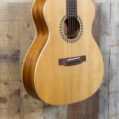 Teton STG100NT Acoustic Guitar image 4