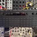 Korg SQ64 Polyphonic Sequencer 2020 - Present - Black