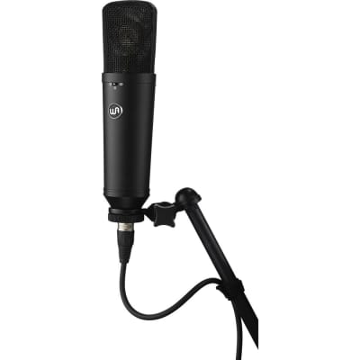 Warm Audio WA-87 R2 Multi-Pattern Studio Condenser Microphone (Black) image 6