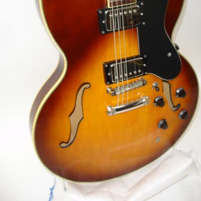 Jay Turser 335-Style Semi-Hollow Electric Guitar, Sunburst image 2
