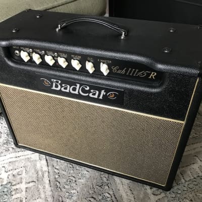 Bad Cat Hot Cat 30R USA Player Series 1x12 Combo Amplifier - Matt's Music  Center