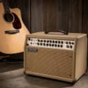 MESA/Boogie Rosette 300 / Two:Eight Acoustic Combo