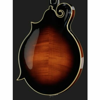 The Loar LM-600 Pro Mandolin, F-Style, All Solid Hand Carved. New! image 16