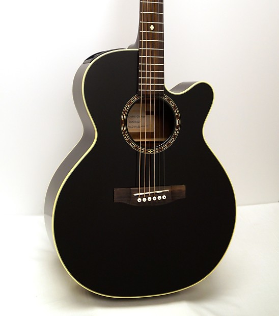 Takamine eg sales 481 scx