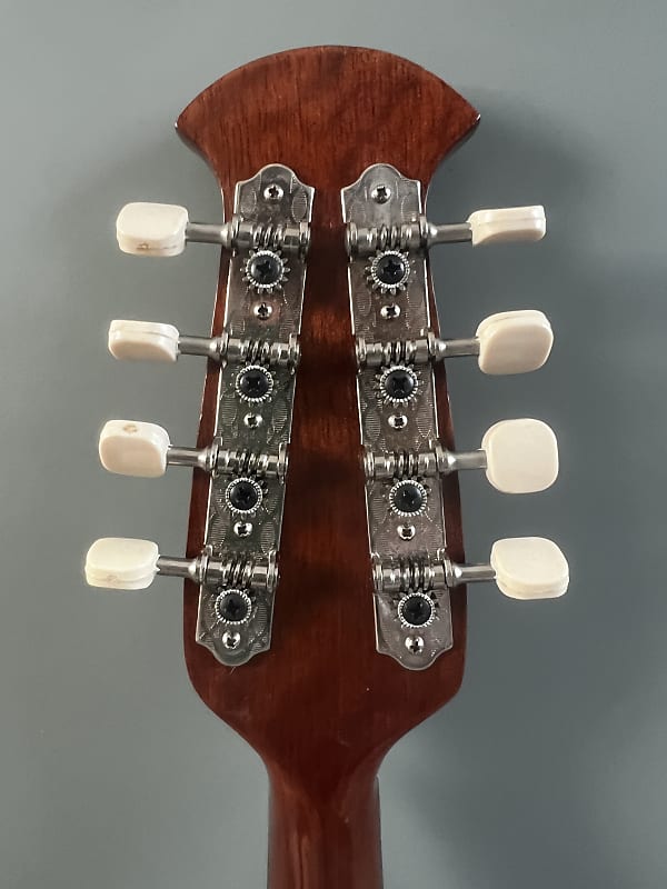 Mandoline Suzuki M-215 Japan 1974 in gigbag | Reverb
