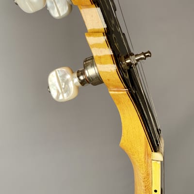 Gold Star G12W 5-String Mastertone Style Banjo 1977 image 14