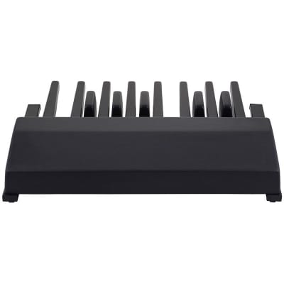 Ketron K8 Dynamic MIDI Pedal image 9