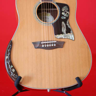 Washburn WSJ60SK-Elite Jumbo Acoustic Electric Guitar With Hard Case image 2